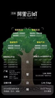 從馬老師到張勇 阿里巴巴的傳承計劃與數(shù)據(jù)服務(wù)新藍圖